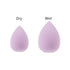6PCS Mini Makeup Sponge Small Beauty Sponge Blender Set for Foundation, Powder, Concealer Highlight,and Eye Shadow, Purple...