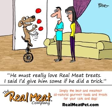 Real Meat, Air-Dried Jerky Treats, Free-Range, All-Natural Fish & Venison Cat Treats 3oz...