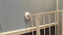 Wall Saver Baby Gate Wall Protector Protects Walls from Child Gate Damage - Makes Safety Gates More Secure - for Walk Thru Pressure Mounted Gates ...