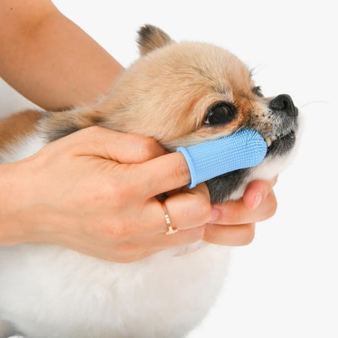 Finger Toothbrush for Optimal Pet Oral Care - Blue : Achieve Dental Health Excellence!...