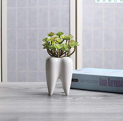 3.93 Inches Tall Tooth Shaped Ceramic Succulent Cactus Vase Flower Pot (Plants Not Included)...