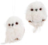 RAZ Imports 3.5" Owl Ornaments - Set of 2 Assorted Foam Hanging Ornaments...