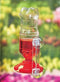 Gadjit Hummingbird Window Feeder, Fun Project for Kids at Home (Red)"...