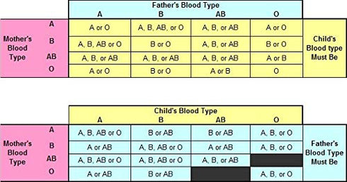 Eldoncard INC Rapid Blood Type Test (2 COMPLETE KITS) - Air Sealed Envelope, Safety Lancet, Micropipette, Cleansing Swab...