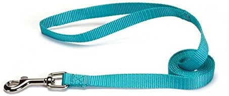 Zack & Zoey Basic Nylon Dog Leash, 4-Feet x 5/8-Inch Lead, Bluebird...
