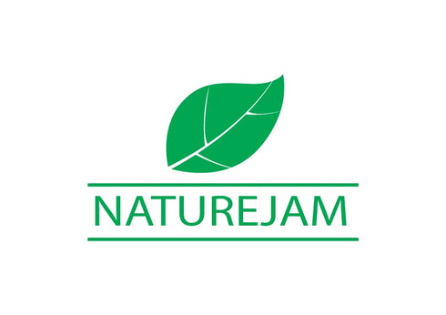 Naturejam Wereque Mexican Herb 8 Ounce Bag-100% Natural Wildcraft-No Processing Aka Wereke, Ibervillea Sonorae, Huereque, Guareque, Wareki, Werequ...