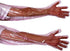 50Pcs Disposable Soft Plastic Film Gloves, Vet Gloves Palpation Sleeve Artificial Insemination Gloves 35.5inch Full Arm Gloves Livestock Gloves fo...