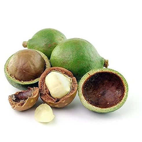 Tamanu Oil - 4 oz Glass with Dropper - 100% Pure Unrefined Cold Pressed Organically Sourced Non GMO Vegan Carrier Oil for Face Hair Skin Body Locs...