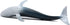 Solid Sea Animals Educational Toys,Simulation Ocean Shark Sea Creature Toy for Toddlers Kids (Blue Whale)...