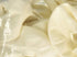 Mayflower Distributing Donut Latex Balloons, 16", White...