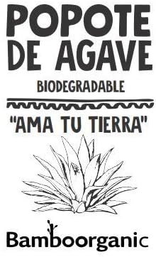 50 Pack Agave Fiber Straws, Eco-Friendly, Alternative to Plastic & Paper Straws, Plant Based...