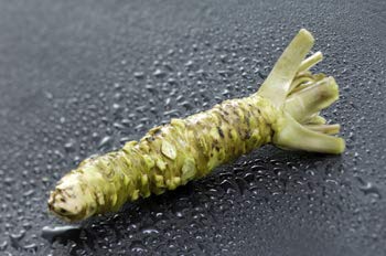 Shizuoka Wasabi Past. Uncolored & fragrance-free, 100? Hon Wasabi from Shizuoka. (Wasabi Past "MIZUAOI" 1.5oz(42g))...