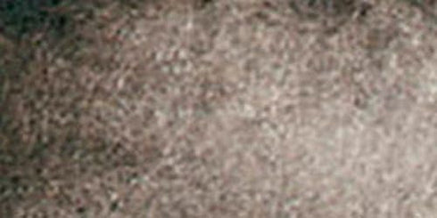 Daniel Smith Extra Fine Watercolor 15ml Paint Tube, Sepia (284600103), 0.5 Fl Oz (Pack of 1)...