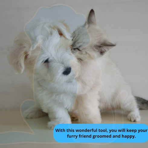 Pet Hair Remover Brush Set 3 Pack - Perfect for Removing Hair and Lint - Extra Gift for Your Pet Grooming!...
