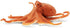 Safari Ltd. Octopus Figurine - Detailed 5" Plastic Model Figure - Fun Educational Play Toy for Boys, Girls & Kids Ages 3+...