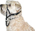 Holt Head Collar Black Size 2...