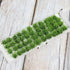80 Pcs Green Bushy Tufts Lowland Shrubs Tuft Static Grass Vegetation Groups Railway Artificial Grass War Gaming Terrain Decoration Railroad Scener...