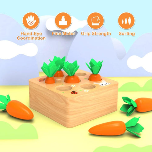 Montessori Toys for 1 Year Old, Wooden Toys Developmental Shape Sorting & Matching Puzzle Carrots Harvest Game, Birthday Gifts for Toddlers Babies...