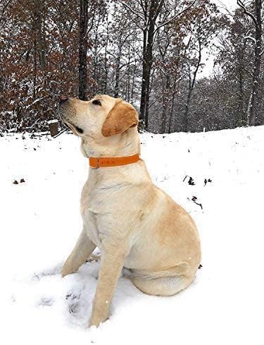 Regal Dog Products Small Orange Dog Collar with Heavy Duty Double Buckle & D Ring | Vinyl Coated, Custom Fit, Adjustable Biothane Dog Collar | Che...