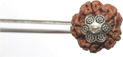 5 Face Rudraksha Pendant/ 5 Mukhi Rudraksha Pendant |Certified|...