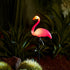 Waterproof Solar Flamingo Garden Light, Durable Blow Molded Yellow Beak and red Body Flamingo Shape, Bird feet and Ground Plug Removable...