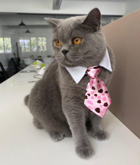 4 Pieces Pets Dog Cat Bowtie Pet Costume Adjustable Formal Necktie Collar for Cats Small Dogs Puppy Grooming Accessories (red/Heart)...