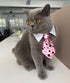 4 Pieces Pets Dog Cat Bowtie Pet Costume Adjustable Formal Necktie Collar for Cats Small Dogs Puppy Grooming Accessories (red/Heart)...