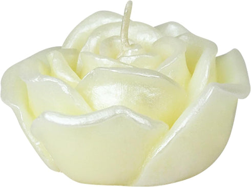 Zest Candle 12-Piece Floating Candles, 3-Inch, Ivory Rose...