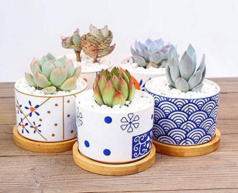 Cute Colorful Japanese Style Ceramic Succulent Cactus Flower Plant Pots with Bamboo Tray (Plant Not Included)...