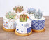 Cute Colorful Japanese Style Ceramic Succulent Cactus Flower Plant Pots with Bamboo Tray (Plant Not Included)...