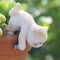 Miniature Hanging Cat Figurines Flower Pot and Vase Hugger Cute Resin Kitten Bonsai Terrarium Edge Decor Planter Pot Hanger Fairy Garden Ornaments...