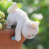 Miniature Hanging Cat Figurines Flower Pot and Vase Hugger Cute Resin Kitten Bonsai Terrarium Edge Decor Planter Pot Hanger Fairy Garden Ornaments...