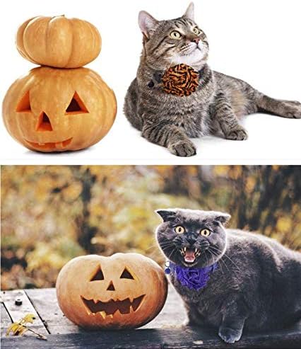 BoomBone Halloween Dog Collar Flowers Accessory,Flower Charms Sliders for Holiday Dog Collars...