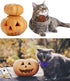BoomBone Halloween Dog Collar Flowers Accessory,Flower Charms Sliders for Holiday Dog Collars...
