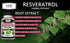 Kaya Naturals - Resveratrol Capsules - Anti Aging Supplement - Antioxidants with Brain Support - Maximum Benefits - 60 Veggies Capsules...