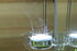 CO2 Diffuser Glass Reactor with U Shape Connecting Tube for Pollen Aquarium Plants Tank(CO2 Diffuser-Large Flat-Bottomed)...