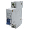 6 Amp Single-Pole Circuit Breaker Switch, Din Rail Mounted Home Use Circuit Breaker for Household Appliance Circuit Security Protection (DZ47-63 C...