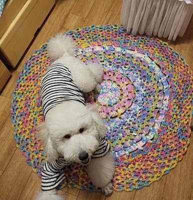 Colorful DIY T-Shirt Yarn Bulky Fabric Yarn Spaghetti Yarn Craft Material DIY Crochet Yarn Chunky Knit Rug Basket Pet Bed Yarn 180g......