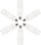 EP 75W Equivalent LED Bulb - 12W 1100 Lumens 5000K Daylight White Non-Dimmable E26 Medium Base - Bright Bulbs for Home, Bedroom, Office Lamp, 6 Pa...