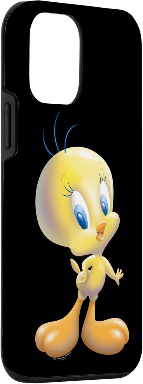 iPhone 12 mini Looney Tunes Tweety Bird Airbrushed Case...