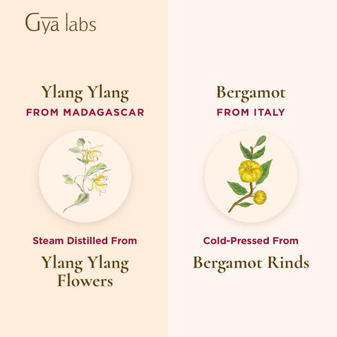 Gya Labs Ylang Ylang Essential Oil & Bergamot Essential Oil (10ml) - 2-in-1 Pack...
