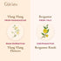 Gya Labs Ylang Ylang Essential Oil & Bergamot Essential Oil (10ml) - 2-in-1 Pack...