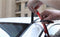 TRUE LINE Automotive 6 Feet Car Windshield Weather Seal Rubber Stripping Trim Cover Leak Sound Proofing Kit...