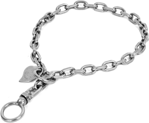 Stainless Steel Collars, Dog Training Chain Collar with Swivel, for Medium Large Giant Breed(3.0MM, 16IN 20lb-30lb)...