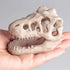 Opexicos 2Pcs 8.5 x 5.5 x 4.5 cm Resin Dinosaur Skull Aquarium Decoration Terrarium Reptile Fish Tank Ornament...