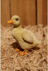 Hi- Line Gift 87697-B 2 Piece Ducklings Statue...