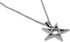 Stainless Steel Inverted Pentagram Inverted Star Pentacle Necklace and Pendant...
