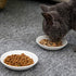 BigNoseDeer Super Cute Cat Ceramic Sauce Dish,Mini Side Seasoning Dish,Condiment Dishes,Sushi Soy Dipping Bowl,Snack Serving Dishes,Meow Porcelain...