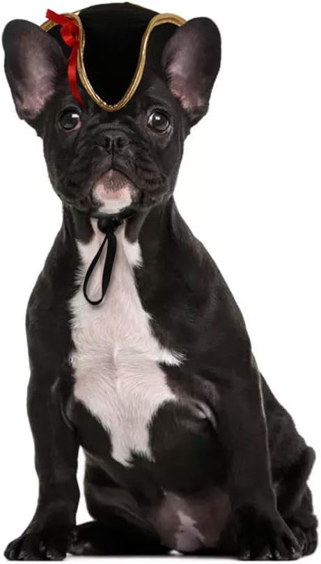 BinaryABC Halloween Pet Pirate Hat,Halloween Pet Dog Cosplay Costume Accessory Photo Props,15 x 11 x 5.5cm...