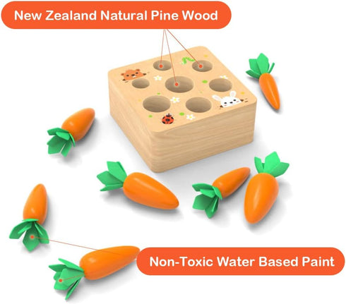 Montessori Toys for 1 Year Old, Wooden Toys Developmental Shape Sorting & Matching Puzzle Carrots Harvest Game, Birthday Gifts for Toddlers Babies...